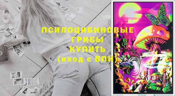 экстази Бородино