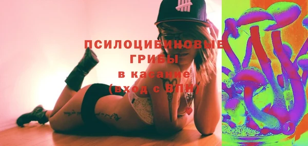 экстази Бородино