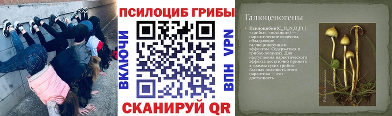 продажа наркотиков  Ахтырский  Галлюциногенные грибы Psilocybine cubensis 